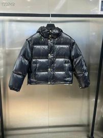 Picture for category Celine Down Jackets